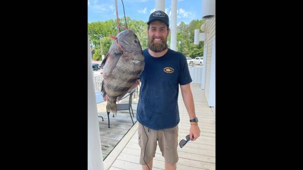 Todd Elder said he hopes to catch an even bigger fish after his world record.