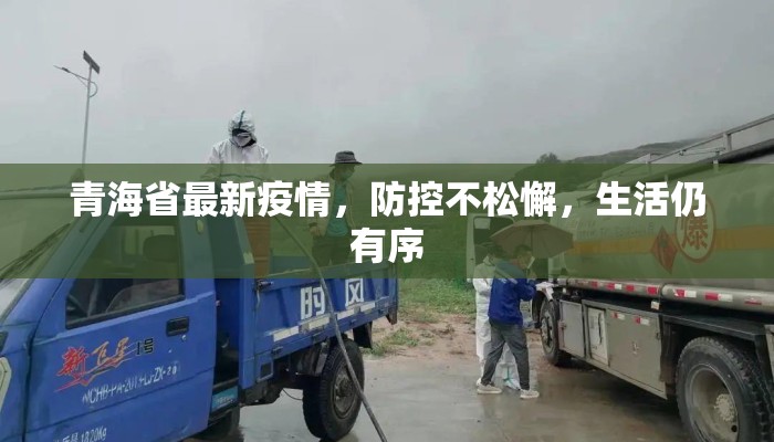 青海省最新疫情，防控不松懈，生活仍有序