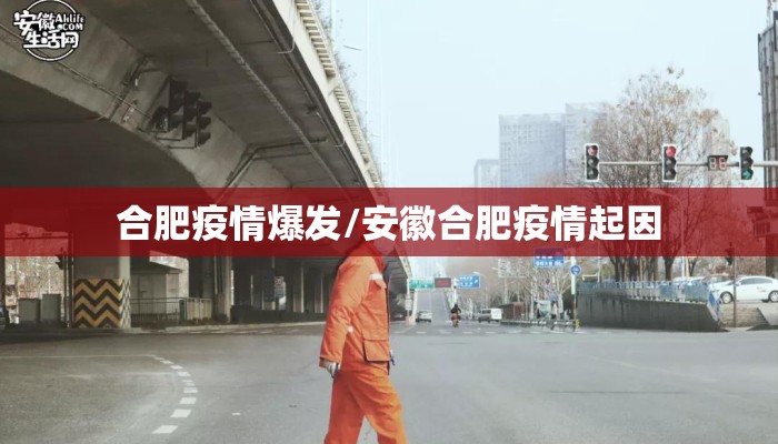合肥疫情爆发/安徽合肥疫情起因