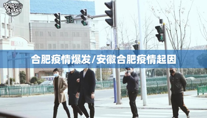 合肥疫情爆发/安徽合肥疫情起因