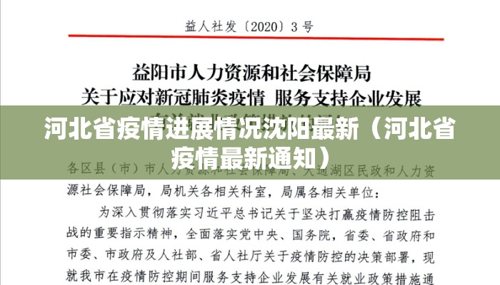 河北省疫情进展情况沈阳最新（河北省疫情最新通知）