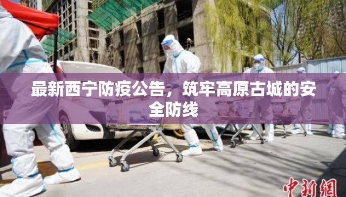 最新西宁防疫公告,筑牢高原古城的安全防线 最新西宁防疫公告,筑牢高原古城的安全防线