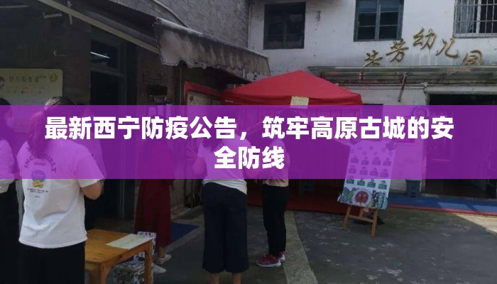 最新西宁防疫公告,筑牢高原古城的安全防线 最新西宁防疫公告,筑牢高原古城的安全防线