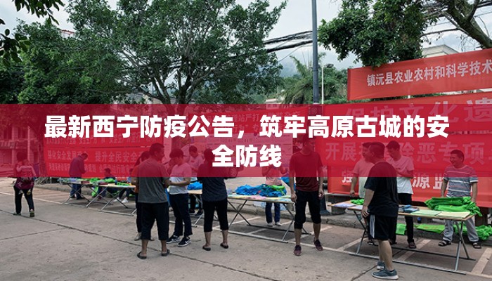 最新西宁防疫公告,筑牢高原古城的安全防线 最新西宁防疫公告,筑牢高原古城的安全防线