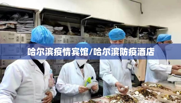哈尔滨疫情宾馆/哈尔滨防疫酒店