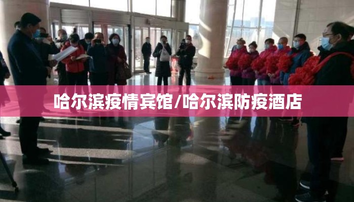 哈尔滨疫情宾馆/哈尔滨防疫酒店