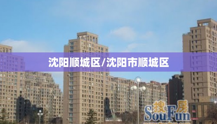 沈阳顺城区/沈阳市顺城区