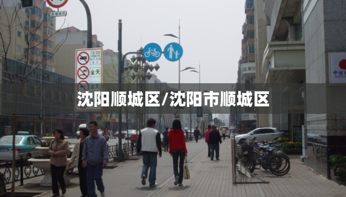 沈阳顺城区/沈阳市顺城区