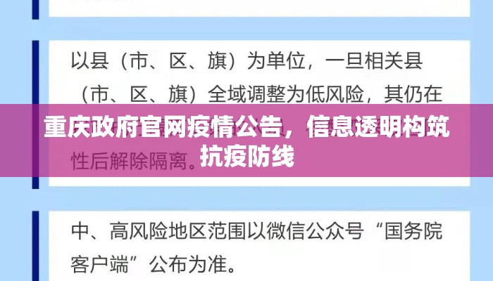 重庆政府官网疫情公告，信息透明构筑抗疫防线