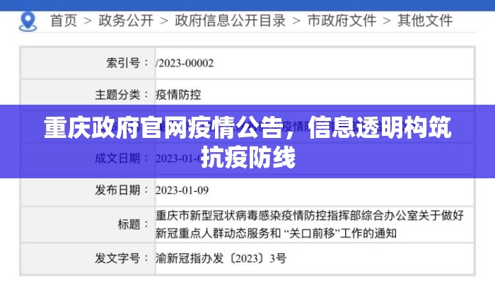 重庆政府官网疫情公告，信息透明构筑抗疫防线