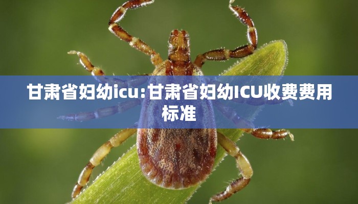 甘肃省妇幼icu:甘肃省妇幼ICU收费费用标准