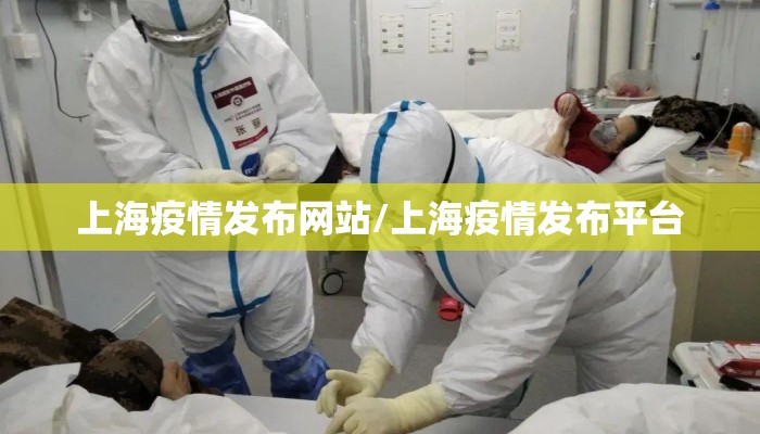 上海疫情发布网站/上海疫情发布平台