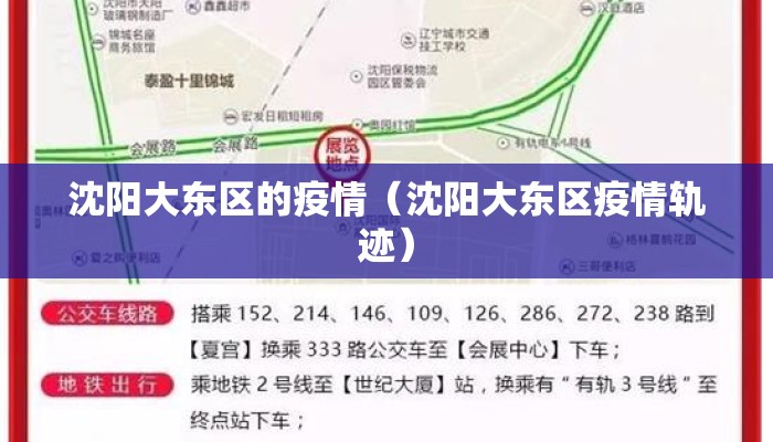 沈阳大东区的疫情（沈阳大东区疫情轨迹）
