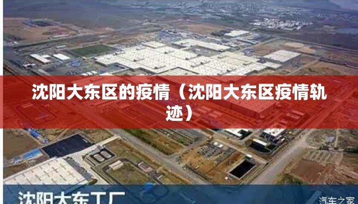沈阳大东区的疫情（沈阳大东区疫情轨迹）