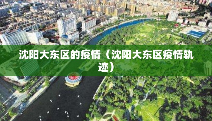 沈阳大东区的疫情（沈阳大东区疫情轨迹）