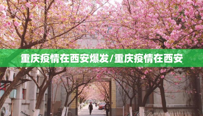 重庆疫情在西安爆发/重庆疫情在西安