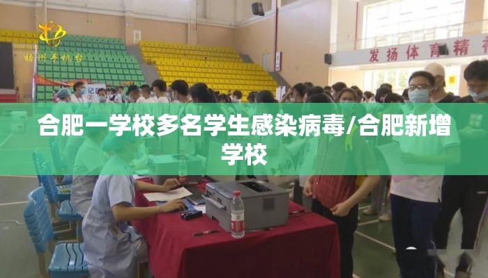 合肥一学校多名学生感染病毒/合肥新增学校