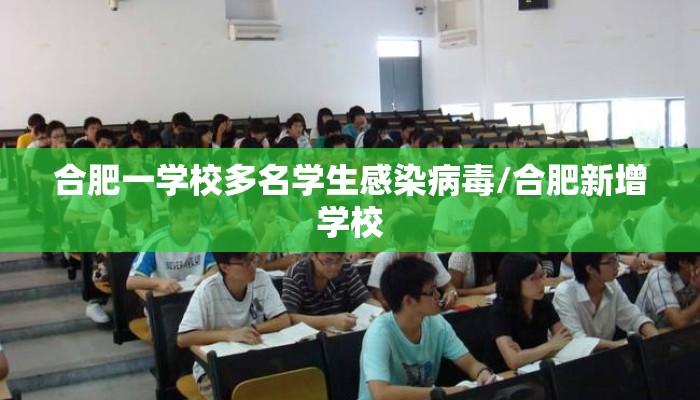合肥一学校多名学生感染病毒/合肥新增学校