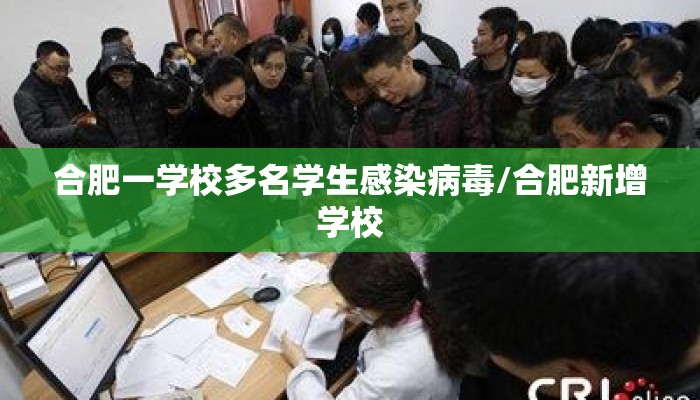 合肥一学校多名学生感染病毒/合肥新增学校