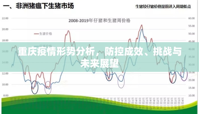 重庆疫情形势分析，防控成效、挑战与未来展望