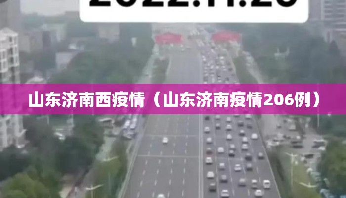 山东济南西疫情（山东济南疫情206例）