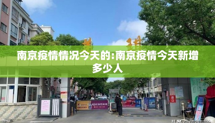 南京疫情情况今天的:南京疫情今天新增多少人