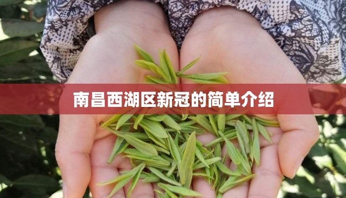 南昌西湖区新冠的简单介绍 南昌西湖区新冠的简单介绍
