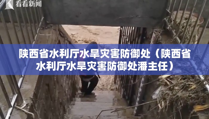 陕西省水利厅水旱灾害防御处（陕西省水利厅水旱灾害防御处潘主任）