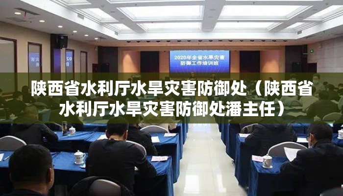 陕西省水利厅水旱灾害防御处（陕西省水利厅水旱灾害防御处潘主任）