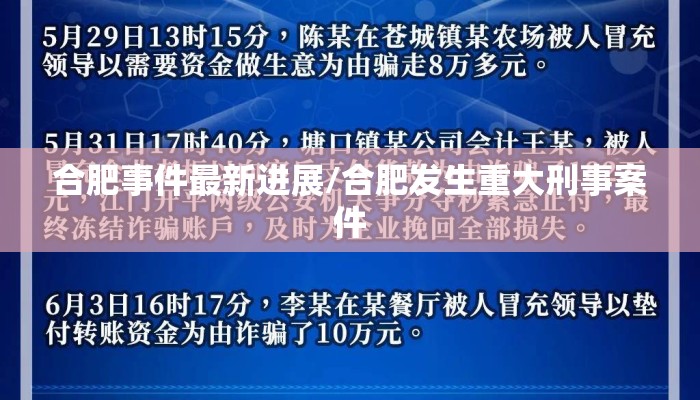 合肥事件最新进展/合肥发生重大刑事案件