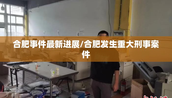 合肥事件最新进展/合肥发生重大刑事案件