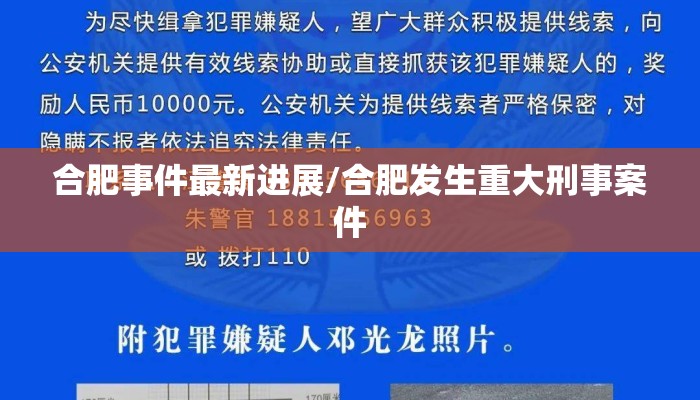 合肥事件最新进展/合肥发生重大刑事案件