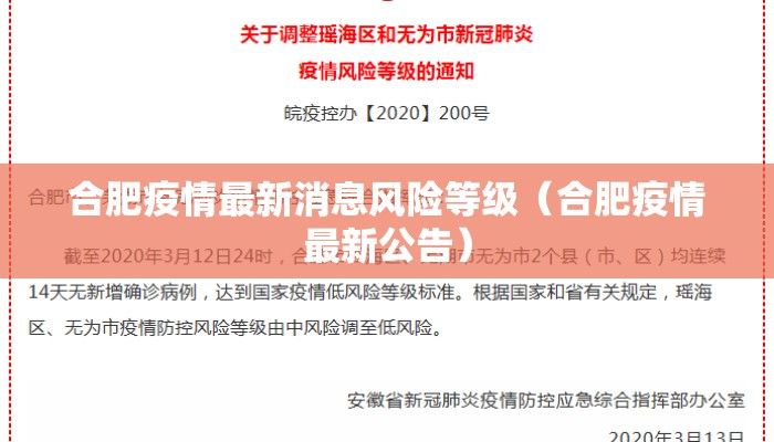 合肥疫情最新消息风险等级（合肥疫情最新公告）