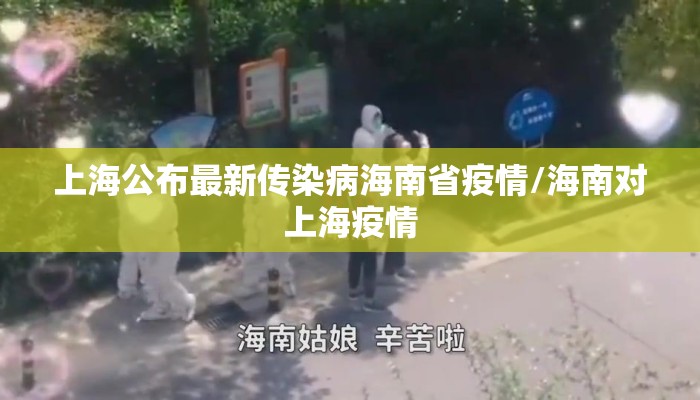 上海公布最新传染病海南省疫情/海南对上海疫情