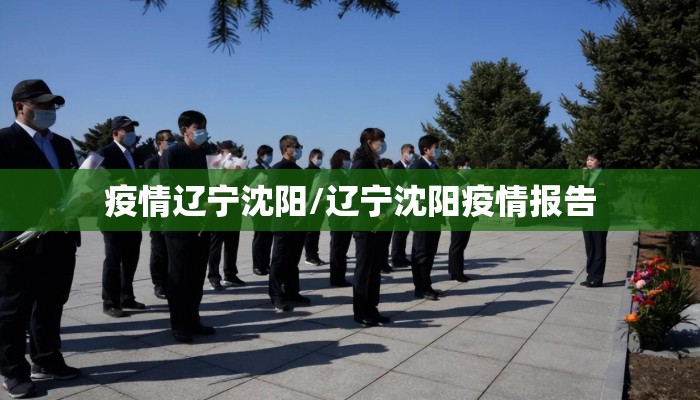 疫情辽宁沈阳/辽宁沈阳疫情报告