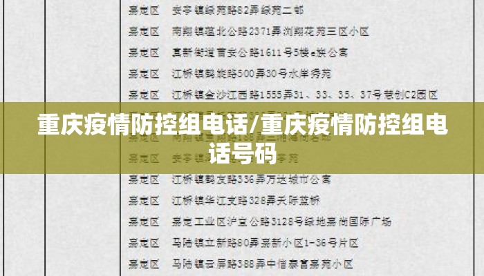 重庆疫情防控组电话/重庆疫情防控组电话号码
