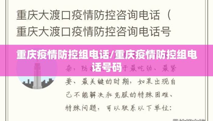 重庆疫情防控组电话/重庆疫情防控组电话号码