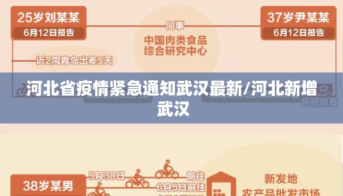 河北省疫情紧急通知武汉最新/河北新增 武汉