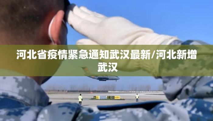 河北省疫情紧急通知武汉最新/河北新增 武汉