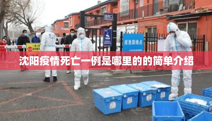 沈阳疫情死亡一例是哪里的的简单介绍