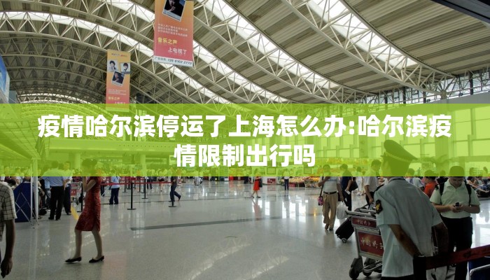 疫情哈尔滨停运了上海怎么办:哈尔滨疫情限制出行吗 疫情哈尔滨停运了上海怎么办:哈尔滨疫情限制出行吗