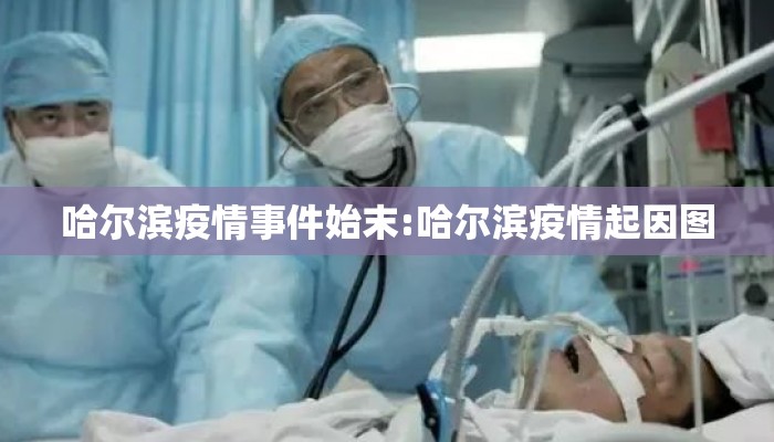 哈尔滨疫情事件始末:哈尔滨疫情起因图
