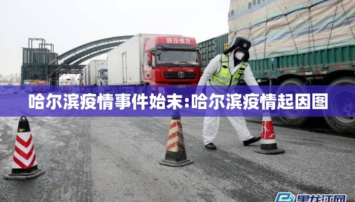 哈尔滨疫情事件始末:哈尔滨疫情起因图