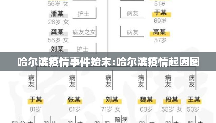 哈尔滨疫情事件始末:哈尔滨疫情起因图