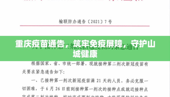 重庆疫苗通告，筑牢免疫屏障，守护山城健康