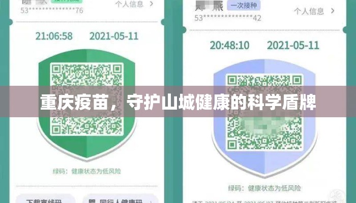 重庆疫苗，守护山城健康的科学盾牌