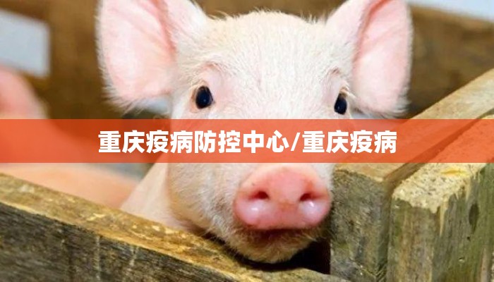 重庆疫病防控中心/重庆疫病