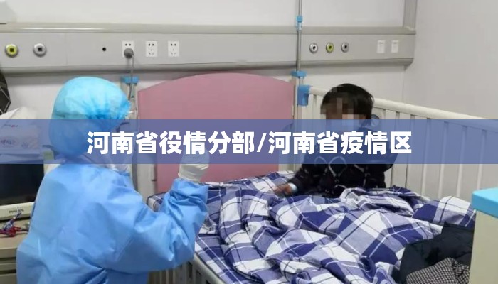 河南省役情分部/河南省疫情区