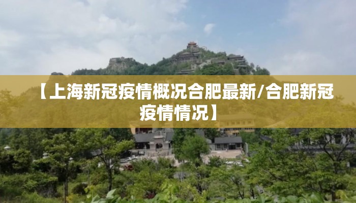 【上海新冠疫情概况合肥最新/合肥新冠疫情情况】