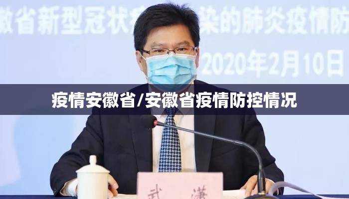 疫情安徽省/安徽省疫情防控情况